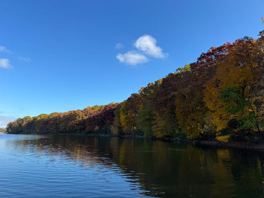 The end of the season... another fishing report.